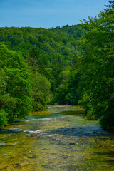 Wall Mural - Summer day at lake Bohinj in Slovenia