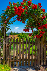 Wall Mural - Herb garden at the Olimje monastery in Slovenia