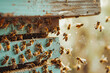 Bees busily entering and exiting a hive, legs coated with pollen, showcasing the diligent world of apiaries