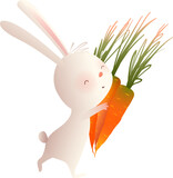 Fototapeta Dinusie - Rabbit bunny character carry or hug carrots, cooking or farming animal. Vegetarian rabbit farmer loves carrots, cartoon for children. Vector isolated clipart illustration in watercolor style for kids.