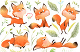 Fototapeta Dinusie - Fox mascot character poses for kids illustration book. Playful fox animation, forest animal in action for a fairytale story. Vector hand drawn character design for children in watercolor style.