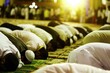 A group of men laying on the ground in a joint act of prostration during an Eid al Adha celebration