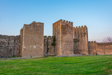 Wall Mural - Sunset view of Smederevo fortress in Serbia