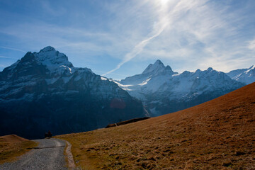 Wall Mural - Grindelwald, Jungfrau Region, Switzerland