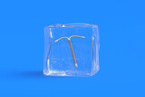 Fototapeta  - Female contraceptive in ice cube. 3d illustration