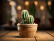 A cactus sits in a pot, rendered in 3D against a wooden backdrop