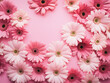 Pink background adorned with fresh flowers in a flat lay arrangement