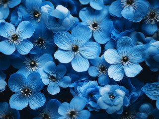 Poster - Blue floral composition depicts spring's natural beauty