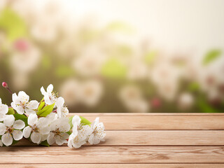 Wall Mural - Banner showcases blossoming cherry branches against a green table backdrop