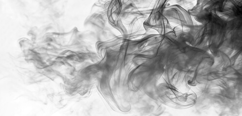 Wall Mural - abstract smoke swirls. black smoke on white transparent background. movement and texture concept. .e