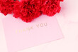 mother's day image carnations flowers and gift