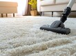 A carpet cleaning service is seen washing the white rug in an apartment living room