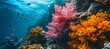 Ballet of Color: A Spectacular Cluster of Vibrant Coral Blooms amidst the Subaquatic Symphony, Painting the Depths with Nature's Exquisite Palette