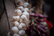 Garlic braids for sell on a Serbian market in Belgrade, Serbia, a country famous for its agriculture and its garlic production. Garlic is also called Allium sativum.