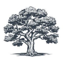 Wall Mural - Big oak tree vintage woodcut drawing vector