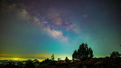 Poster - stars and milky way in a blue sky over forest landscape in a time-lapse shot.