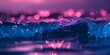 Fluorescent wave and pink sun glare in bokeh effect