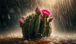 An image of a prickly pear cactus during a rain shower, with raindrops splashing on the pads and flowers, emphasizing the resilience of desert flora.