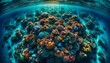 An aerial view of a colorful coral reef under clear ocean waters, captured in a 16_9 aspect ratio.