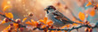 a Sparrow beautiful animal photography like living creature