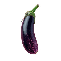 Wall Mural - Purple eggplant with green stem on Transparent Background with shadow