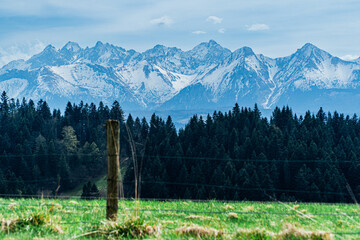 Fototapeta góry, panorama tatr w polsce wiosną, widok z polany w pieninach.