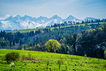Fototapeta góry, panorama tatr w polsce wiosną, widok z polany w pieninach.