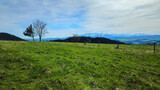 Fototapeta Storczyk - Góry, panorama Tatr w Polsce wiosną, widok z polany w Pieninach.