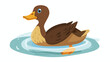 Cartoon duck floats on water flat vector i