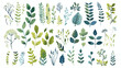 Vector plants branches and leaves collection