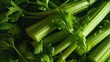 Vibrant close up image showcasing the texture and fresh green color of celery stalks with leaves