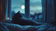 Night cats thrive in the quietude of late-night hours,