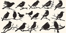Set Of Black Bird Silhouettes.  Generative Ai 