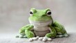 Cute green plush frog toy with a soft white belly sitting playfully