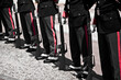 © yaqui_villegas - A display of uniformity and discipline, soldiers stand at attention in formation with rifles at a public event