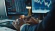 A Financier Analyzing Market Data