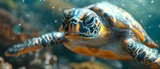 Fototapeta Big Ben - D Rendering of a Sea Turtle in the Red Sea. Concept 3D Rendering, Sea Turtle, Red Sea