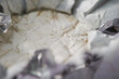 Fermented cheese close-up