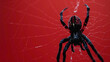 a Spider Spinning webs, studio shot, against solid color background, hyperrealistic photography, blank space for writing