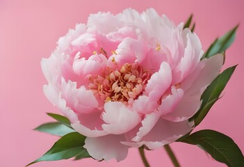 Wall Mural - ai generated illustration of a pink flower surrounded by greenery on a soft pink background