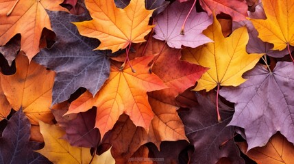 Poster - AI generated illustration of vibrant maple leaves on ground