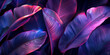 Close up of dark purple and blue neon leaves on black background with neon light,neon tropical leaves rainforest 