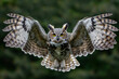 Majestic great horned owl with wings spread wide, showcasing its stunning feather pattern and intense gaze in a lush green habitat