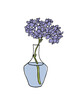 Vector illustration - colorful sketch with hydrangea flowers in vase. Art for for prints, wall art, banner, background
