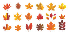 A Set Of Autumn Leaves In The Style Of Flat Design Isolated On A White Background