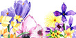 Sfondo floreale con fiori ad acquerello viola e gialli