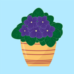 Canvas Print - Violet flower in a pot. Vector illustration in cartoon style.