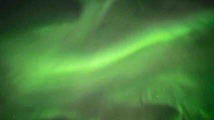 Wall Mural - The dark winter sky was adorned with a spectacular exhibition of the northern lights.