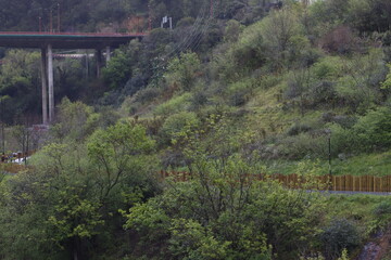 Sticker - bridge over the river