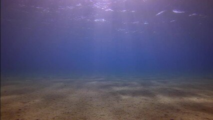 Wall Mural - Bright sunrays penetrate surface of blue water and sun glare fall on sandy bottom in morning time, Underwater shot, Slow motion, Camera moving forwards, Mediterranean Sea